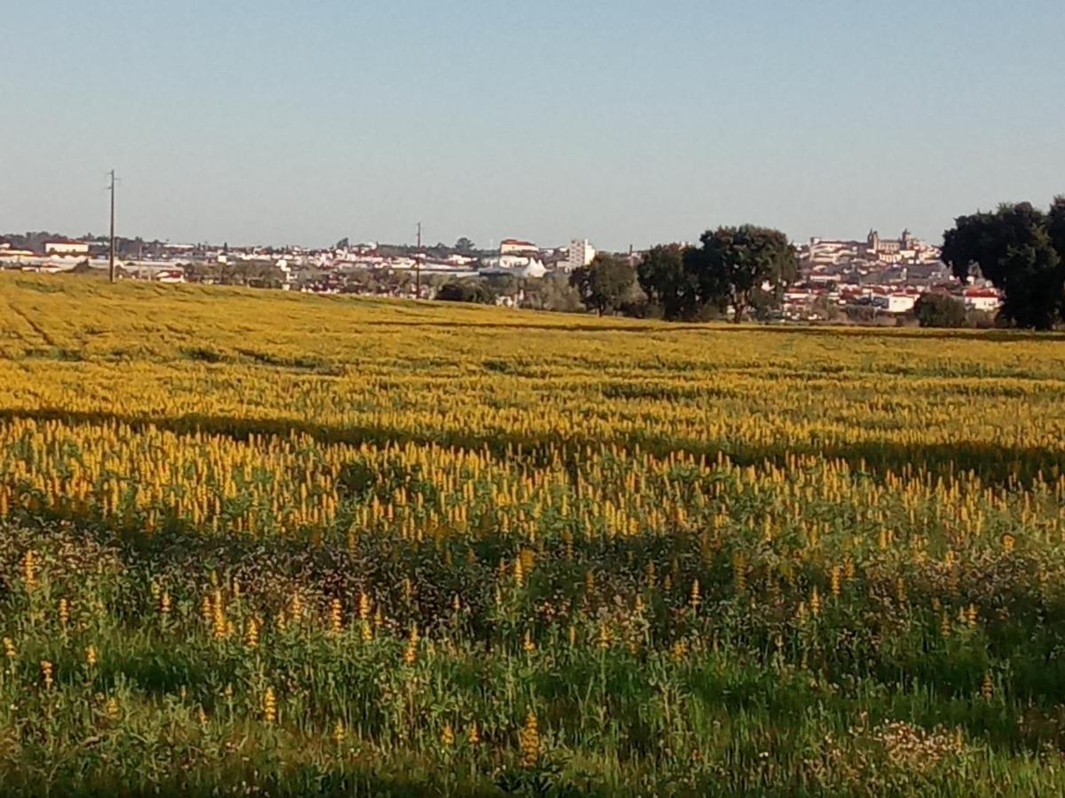 Monte Da Serralheira Agro Turismo Évora Exterior foto