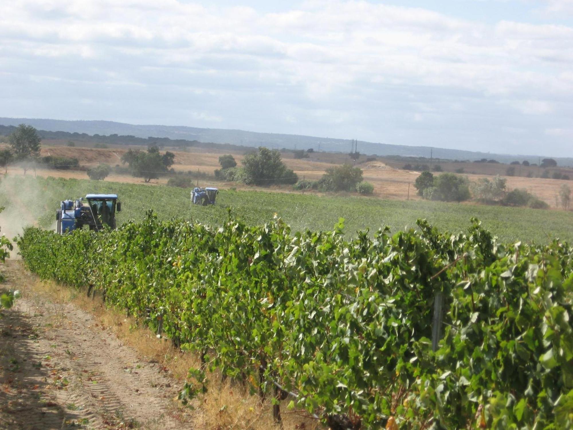 Monte Da Serralheira Agro Turismo Évora Exterior foto